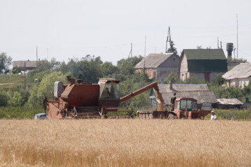 Fototapeta na wymiar Grain harvester combine