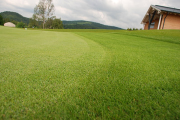 Golf - grass
