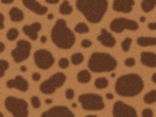 illustration of the leopard fur