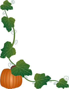 an illustration of a pumpkin and vine frame