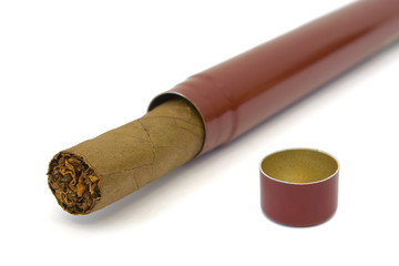Cigar in box, close-up, isolated on white background