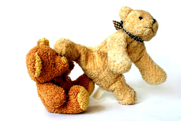 teddy-bear 4
