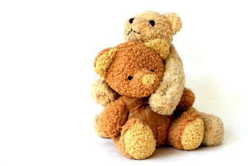 teddy-bear 6