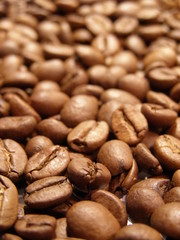 Coffee beans