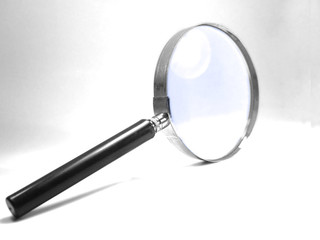 Lupa em fundo branco © Mauro Rodrigues