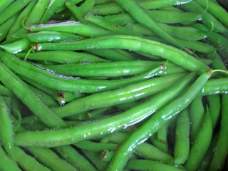 Fresh green boiling beans