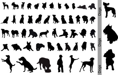 Dogs