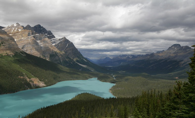 Plakat Bow Lake and Bow Mountain