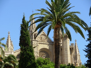 Cathedral in Palma de Mallorca