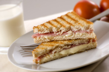 toast with ham and cheese close up shoot