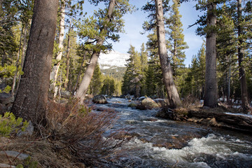 Creek in Yosemite