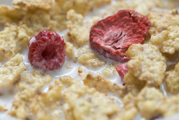 Closeup on corn flakes with dried red fruits and fresh milk