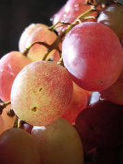 Grapes