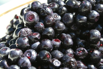 bilberries 
