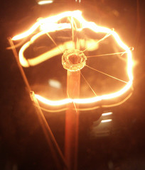 Bulb