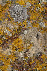 The beautiful figures made by the nature