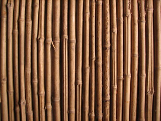 Fototapeta premium mur en bambou