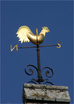 Wetterhahn 2