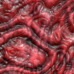Dry lizard skin