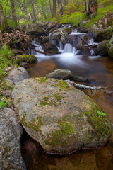 Fototapeta na wymiar A mountain river with waterfalls in the spring season
