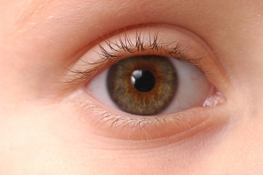 ojo