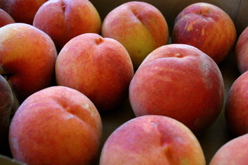 Fototapeta na wymiar Fresh Organic Summer Peaches from the Orchard