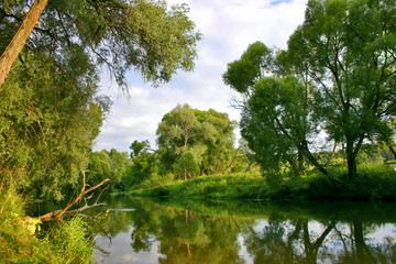 green trees and its reflections in the river