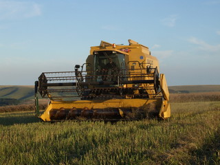 Obraz premium harvest