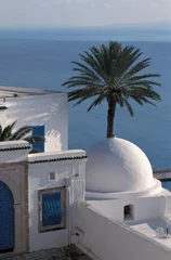 Tuinposter Couleurs de la Tunisie © imagepassion