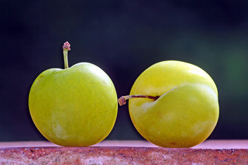 prunes reine-claude