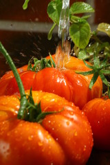 tomates à la fontaine