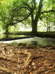 A river in the Peak District natioinal park