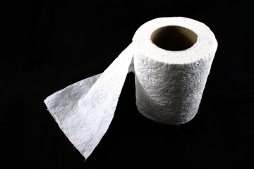 Toilet Paper Roll