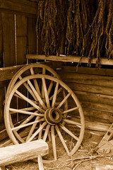 Obraz premium Wagon Wheels