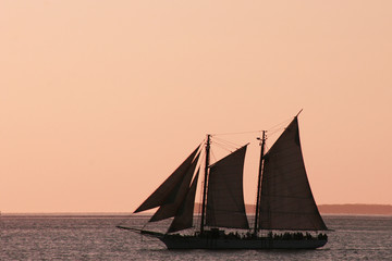 Sailor's Delight