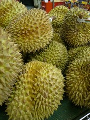 Naklejka na ściany i meble Durian