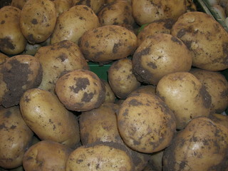 Kartoffeln