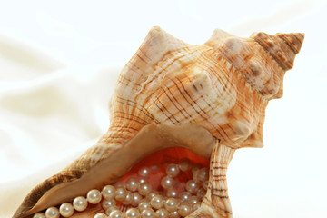 conch filled with pearls