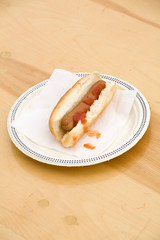 hot dog close up shot