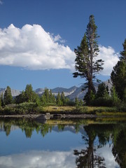 High Sierra Pond II