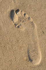 Fototapeta na wymiar Footprint on a sandy beach