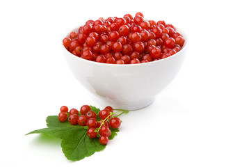 Freshly picked redcurrants