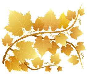 Gold grapevine