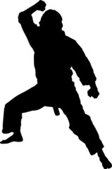 Sport silhouette - Martial arts