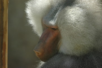 profil © MissKlik