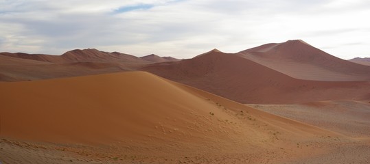 Fototapeta na wymiar Dunes roses et oranges - Désert du Namib