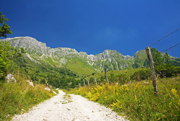 Road to the mountains