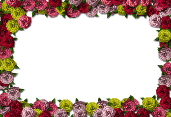 Roses Card Background