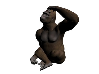 Gorilla