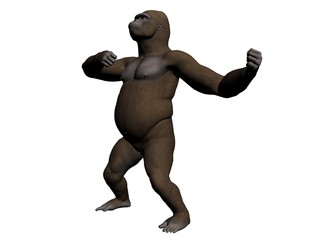 Gorilla